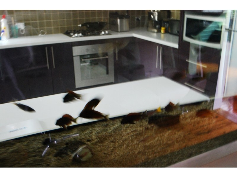 Campbelltown NSW 2560