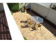 Eschol Park NSW 2558