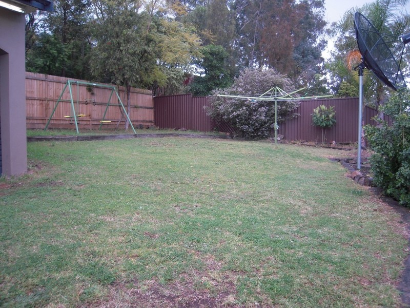 Ruse NSW 2560