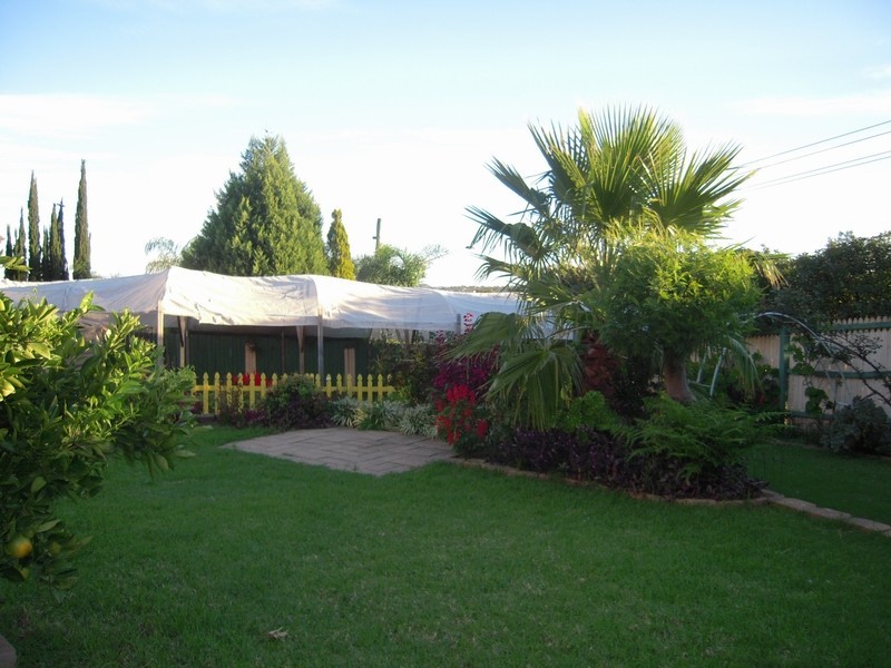 Bow Bowing NSW 2566