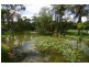 294 Wedderburn Rd, Wedderburn NSW 2560
