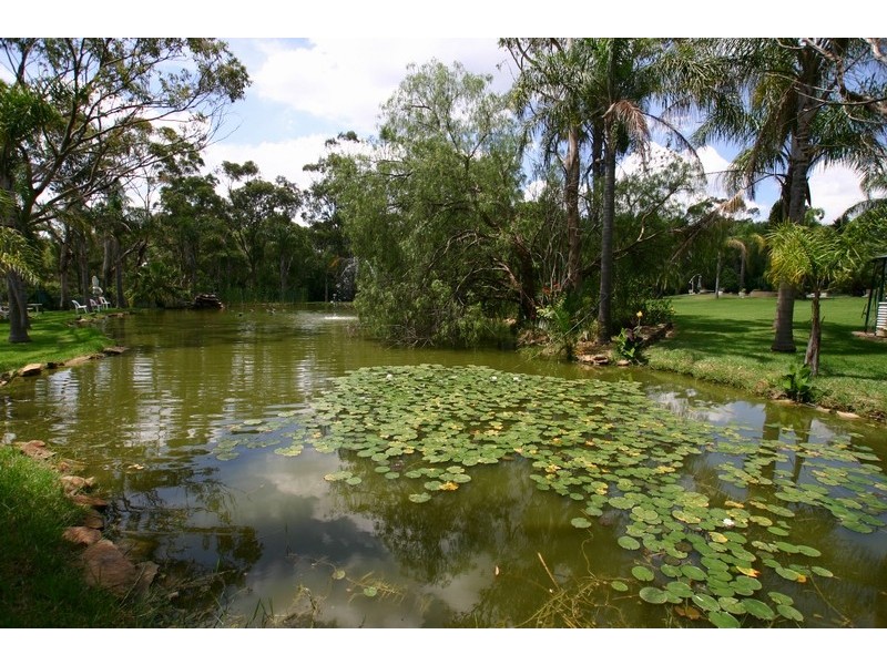294 Wedderburn Rd, Wedderburn NSW 2560