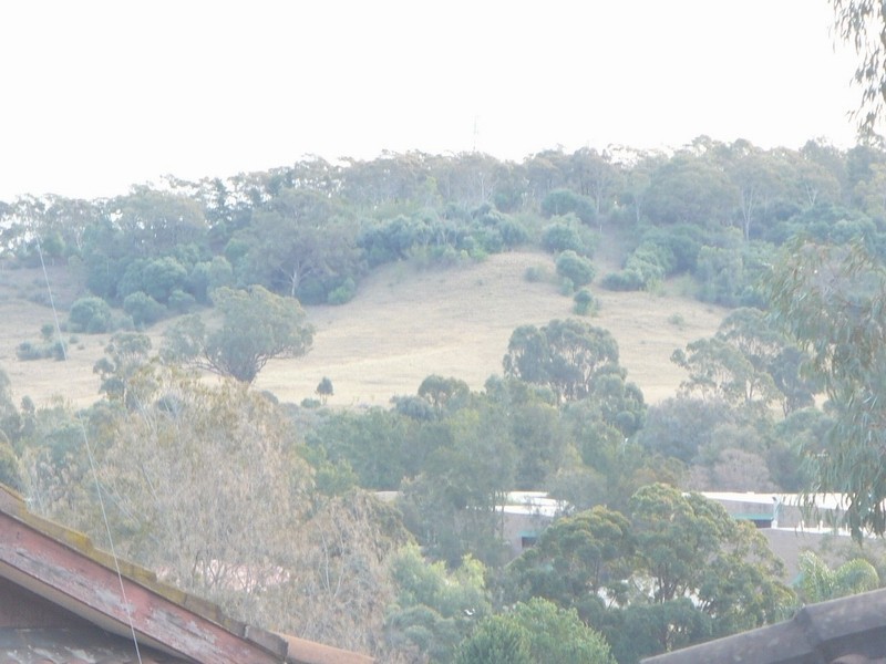 Eagle Vale NSW 2558