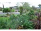 St Andrews NSW 2566