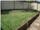 Minto NSW 2566