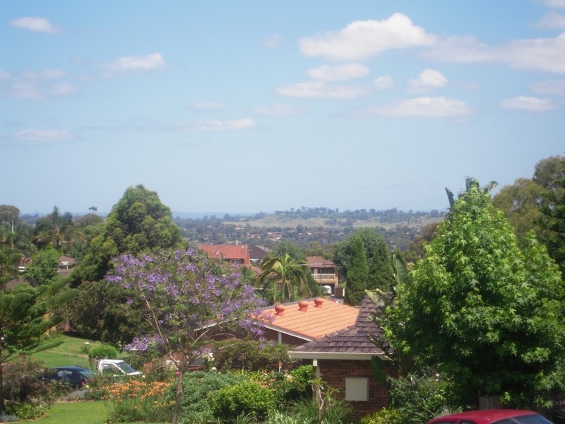 Minto NSW 2566