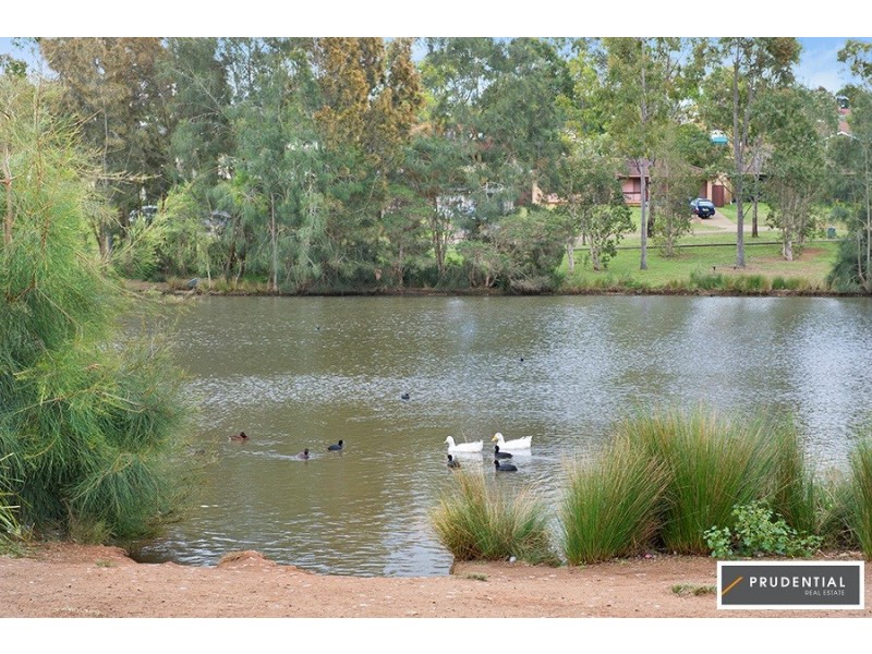 60 Cleopatra Drive, Rosemeadow NSW 2560