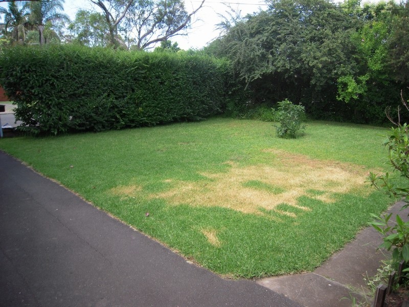 3 Hunter Street, Campbelltown NSW 2560