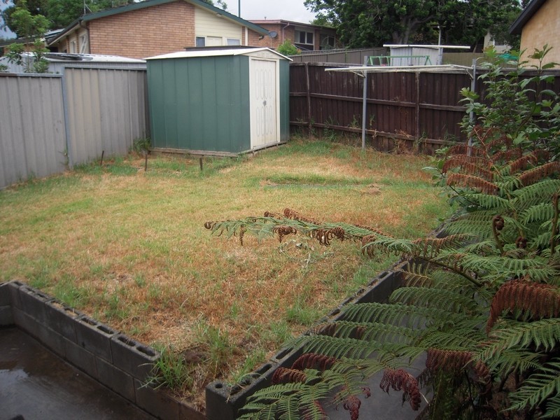 41 Evergreen Ave, Bradbury NSW 2560