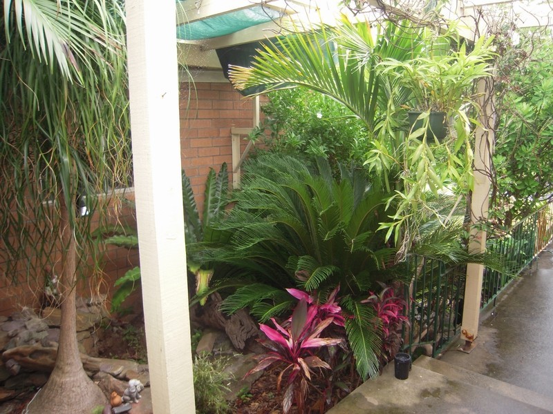 41 Evergreen Ave, Bradbury NSW 2560