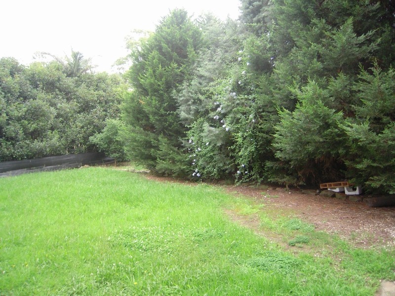 St Andrews NSW 2566