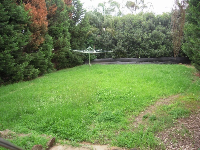 St Andrews NSW 2566