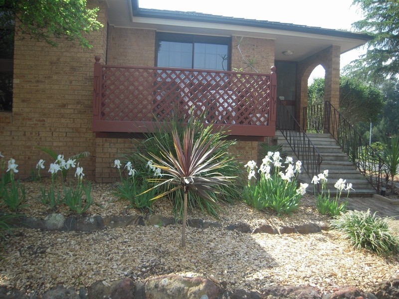 Eschol Park NSW 2558