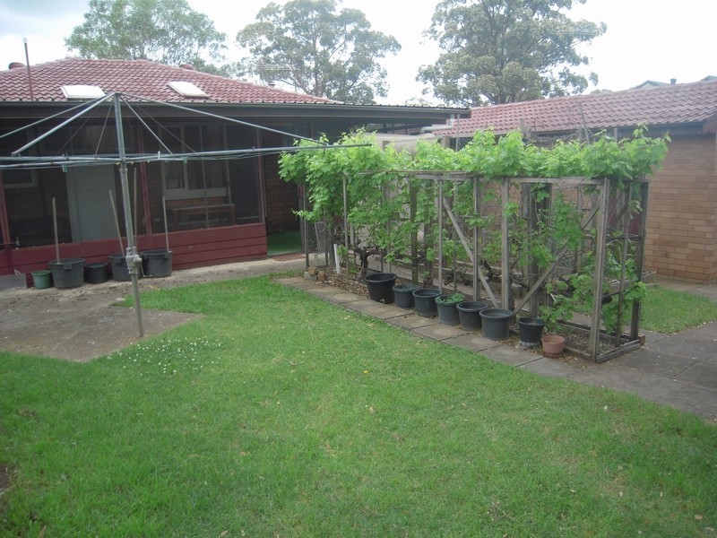 Bradbury NSW 2560