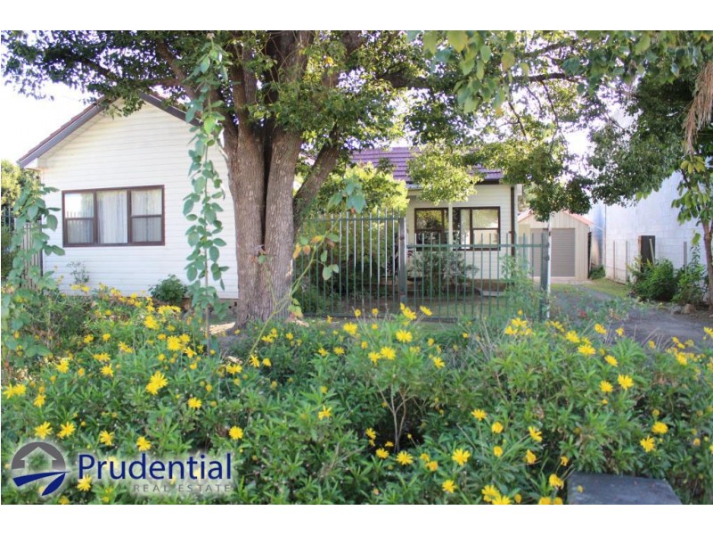 4 Somerset Street, Minto NSW 2566