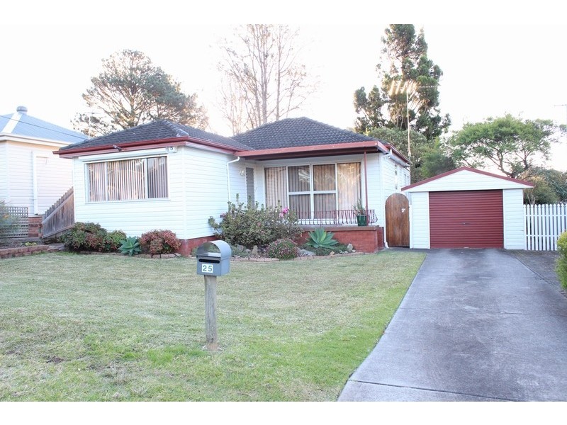 25 Raymond Avenue, Campbelltown NSW 2560