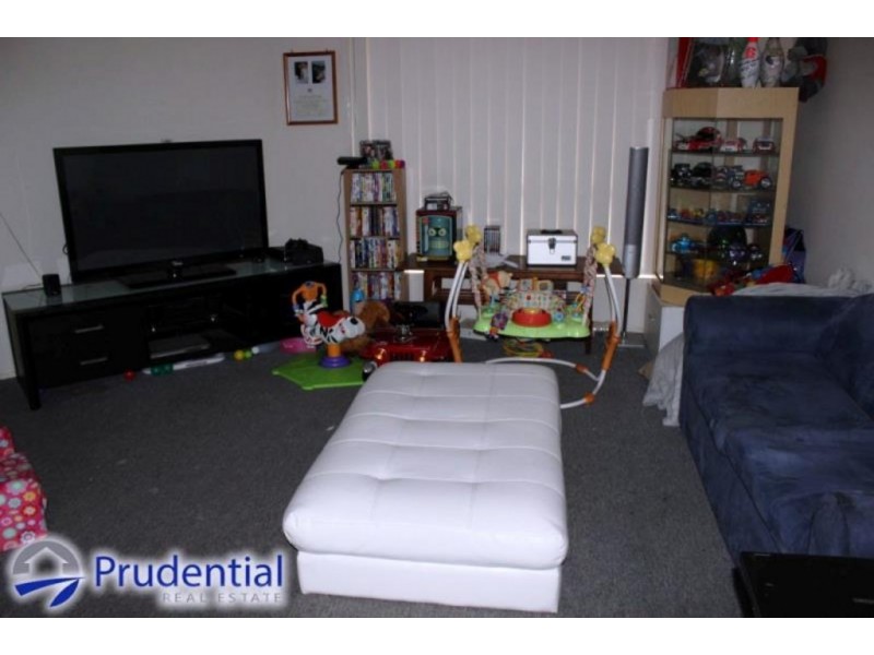 3 Cochrane Street, Minto NSW 2566