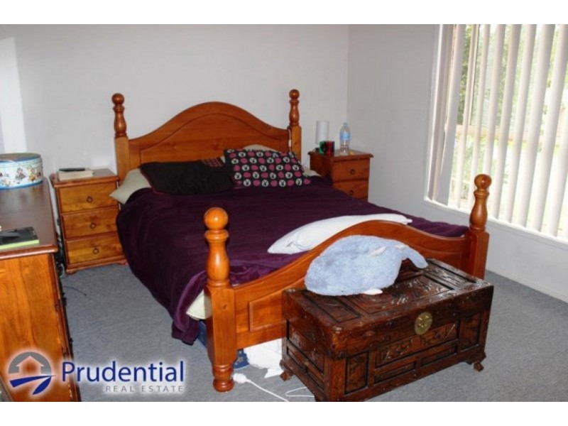 3 Cochrane Street, Minto NSW 2566