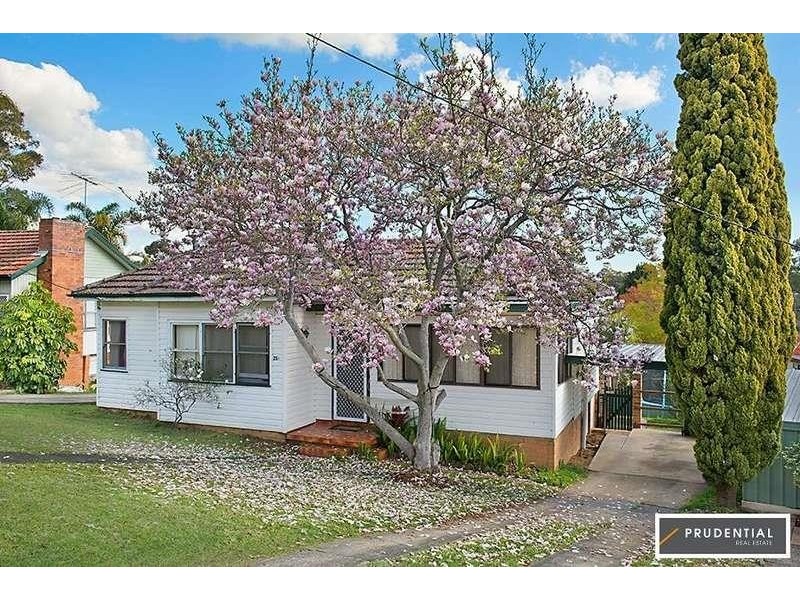 29 Grandview Drive, Campbelltown NSW 2560