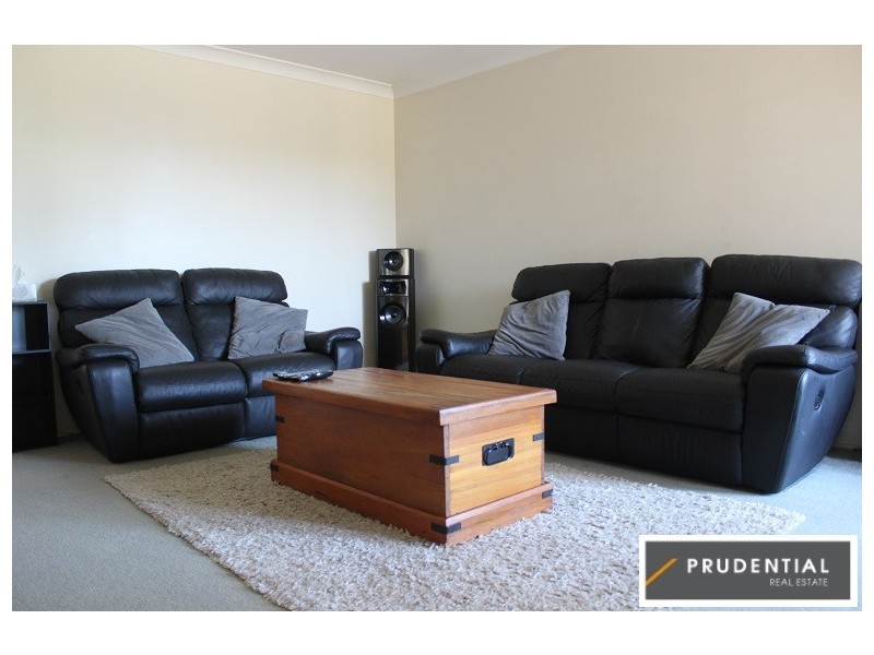 141 Holdsworth Drive, Mount Annan NSW 2567