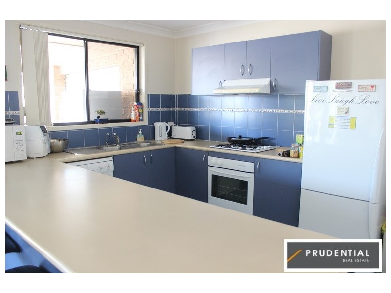 141 Holdsworth Drive, Mount Annan NSW 2567