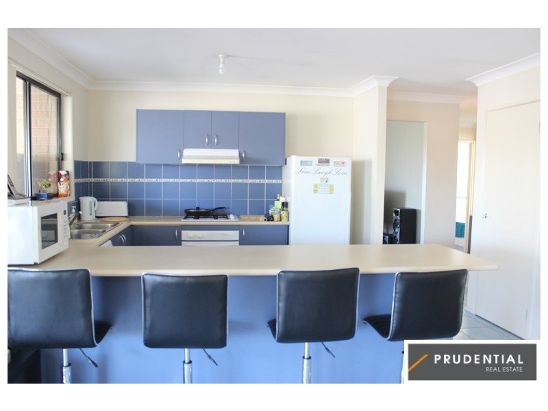 141 Holdsworth Drive, Mount Annan NSW 2567