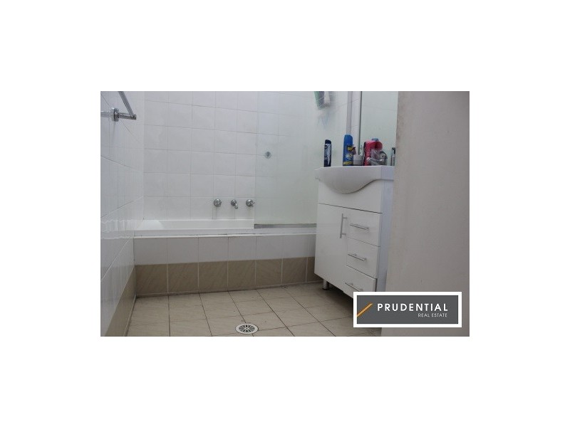 19 Ivanhoe Street, Ingleburn NSW 2565