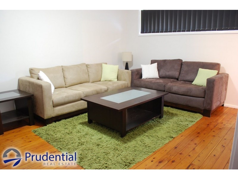 15 Turimetta Ave, Leumeah NSW 2560