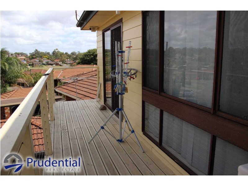 17 Campbell Close, Minto NSW 2566