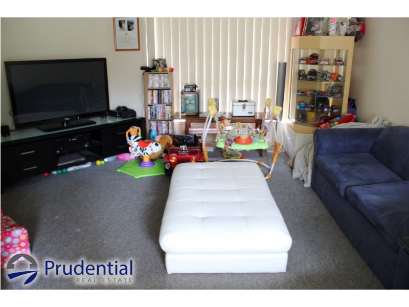 3 Cochrane Street, Minto NSW 2566