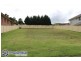14 Boronia Avenue, Mount Annan NSW 2567