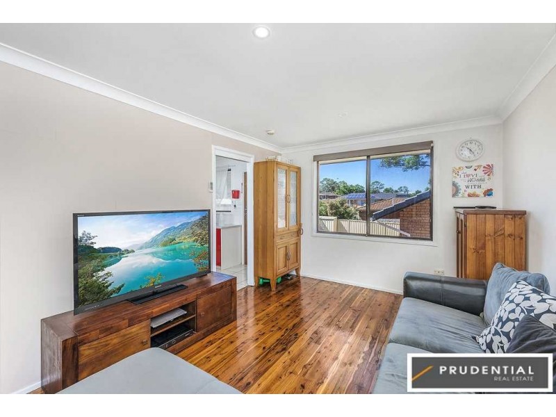 25 Benham Road, Minto NSW 2566