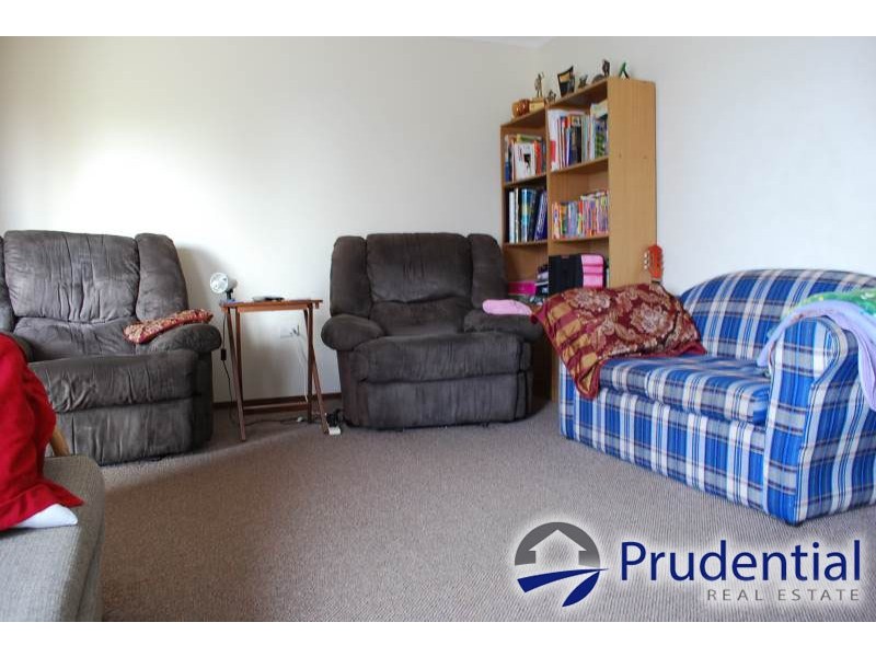 10 Hewitt Place, Minto NSW 2566