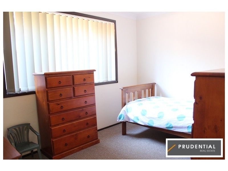 45 Styles Crescent, Minto NSW 2566