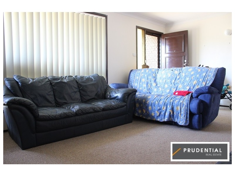 45 Styles Crescent, Minto NSW 2566