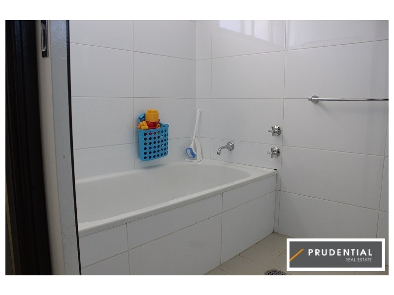 45 Styles Crescent, Minto NSW 2566