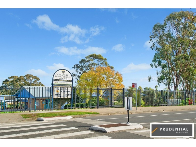 1 Moore Place, Currans Hill NSW 2567