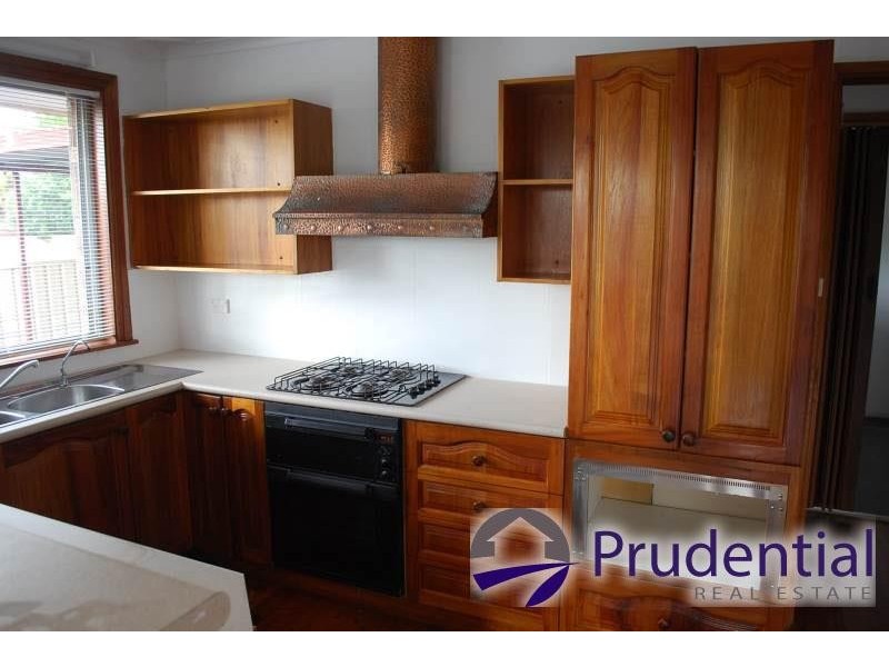 15 Lillas Place, Minto NSW 2566