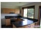 4 Brial Place, Minto NSW 2566