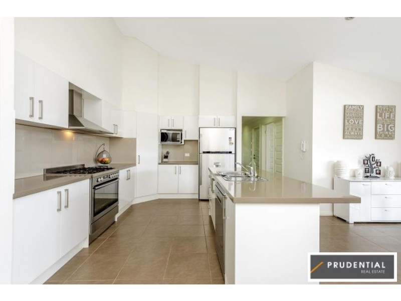 51 Swansona Avenue, Mount Annan NSW 2567