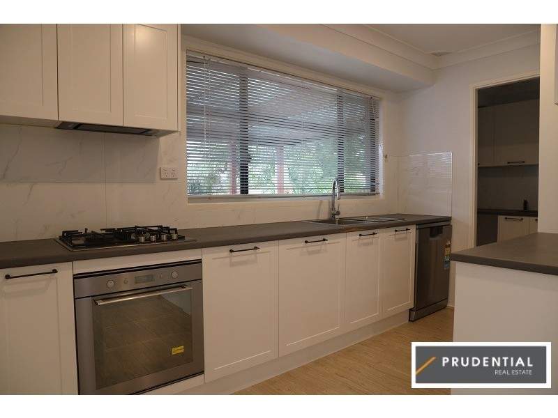 59 Demetrius Road, Rosemeadow NSW 2560