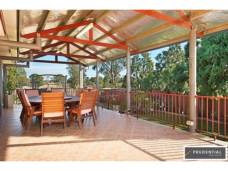 25 Lillas Place, Minto NSW 2566