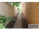 12 Randolph Street, Campbelltown NSW 2560