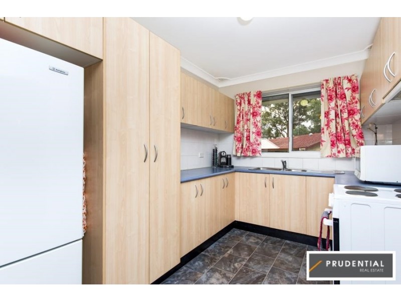 9 Lowe Crescent, Elderslie NSW 2570