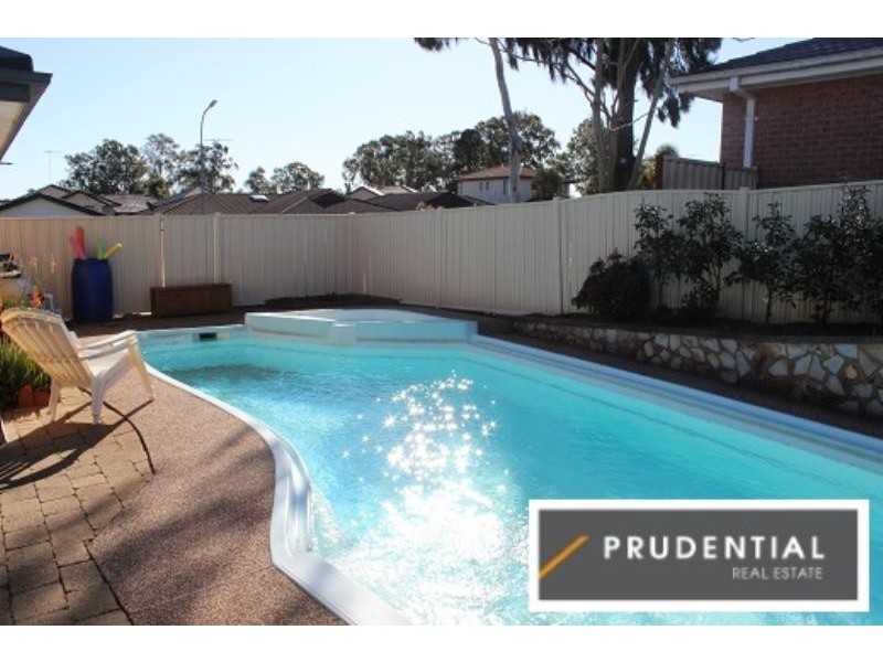 4 Collis Place, Minto NSW 2566