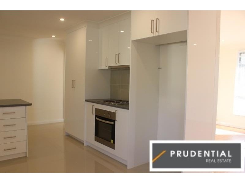 4 Collis Place, Minto NSW 2566