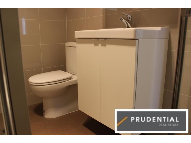 4 Collis Place, Minto NSW 2566