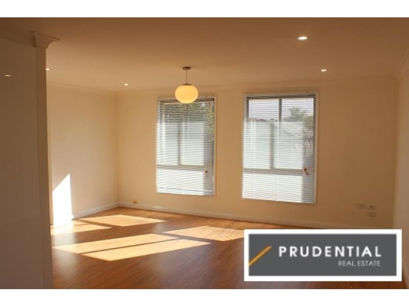 4 Collis Place, Minto NSW 2566