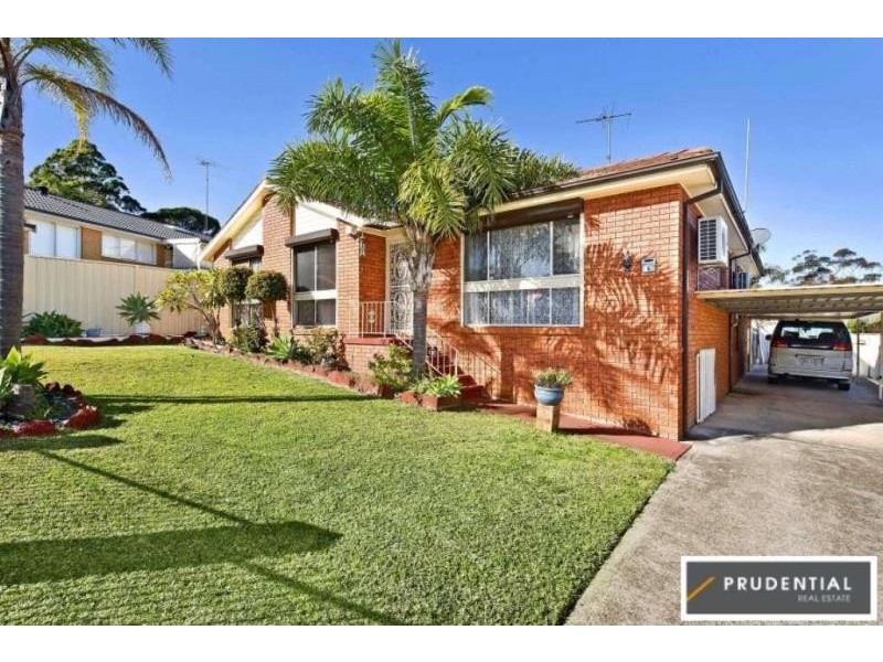 4 Ohlfsen Road, Minto NSW 2566