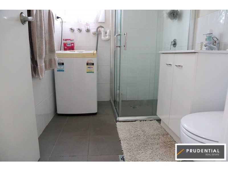 4a Young Street, Mount Pritchard NSW 2170